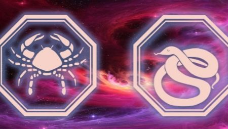 Male Cancer, born in the Year of the Snake: personality characteristics and compatibility