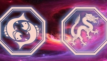 Male Fish born in the year of the Dragon: characteristic and compatibility