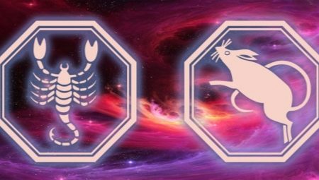 Male Scorpio, born in the year of the Rat: characteristic and compatibility