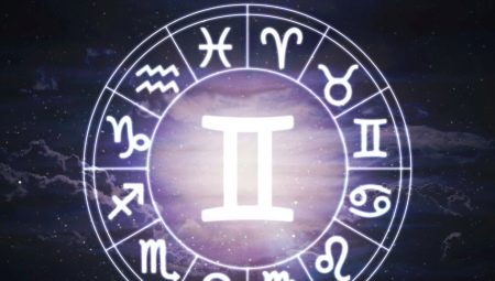 Gemini Men Born in the Year of the Rabbit: Characteristic and Compatibility