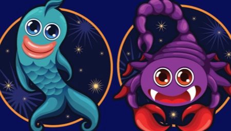 Scorpio and Pisces: compatibility and possible causes of conflict