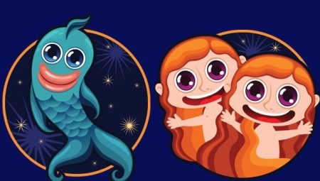 Compatibility of Gemini and Pisces in friendship and love