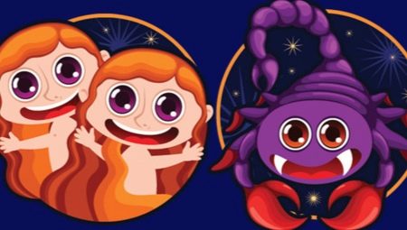 Compatibility of Gemini and Scorpions in various areas of life