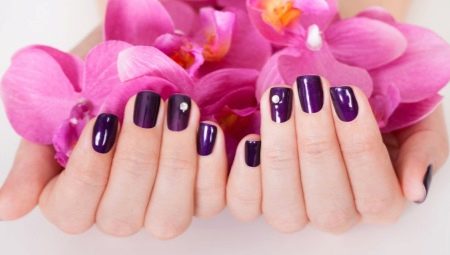 Eggplant Manicure: techniques, features and ideas