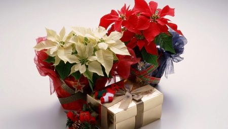 What to give a colleague a wedding from the team?