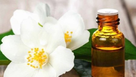 Jasmine Essential Oil - Properties and Application Tips