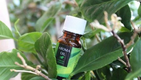 Tea tree oil for acne: properties, recommendations for selection and use