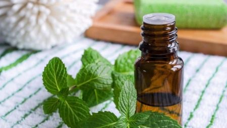 Menthol oil: properties and features of use