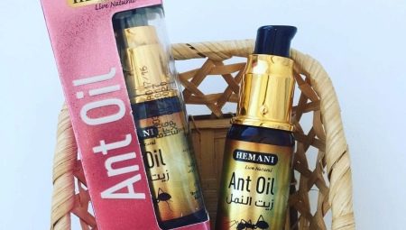 Ant oil for hair removal: effectiveness and rules of use