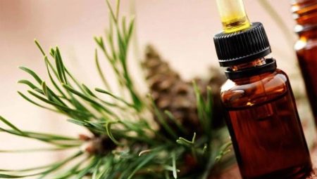 Essential oil of pine: properties and methods of use