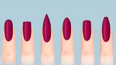 Forms of nails, tips on their selection and creation