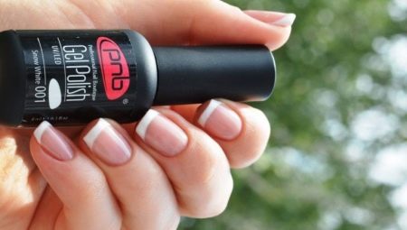 Gel varnish PNB: features palette of shades