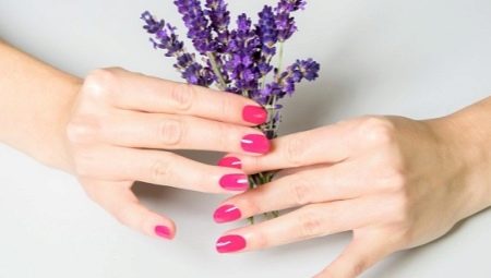 Ideas for classic nail design
