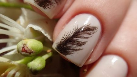Manicure with a feather: stylish design options and description of the nail design technique
