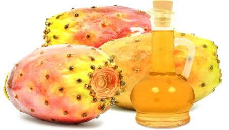 Prickly pear oil: properties and uses