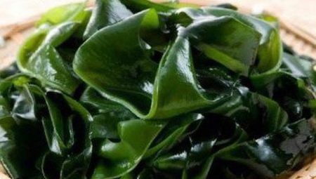 Laminaria wrap: benefits, harm and rules
