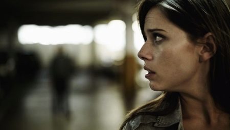 Paranoid: characterization of personality type and recommendations for interacting with it