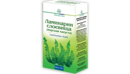 Ways to use kelp for face and neck in cosmetology