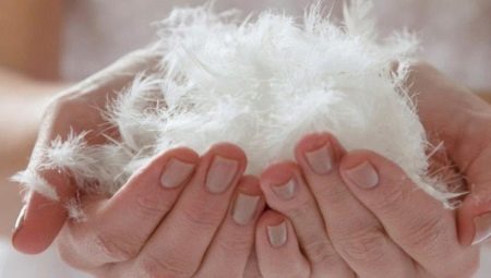 Pooh and sintepon: what is better and warmer?