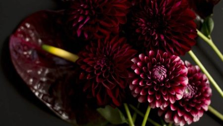 Burgundy color in psychology: what does it mean and symbolize?