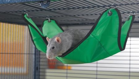 Hammock for the rat: how to choose, do it yourself and equip?