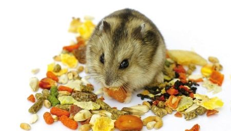 How to choose a feed for hamsters?