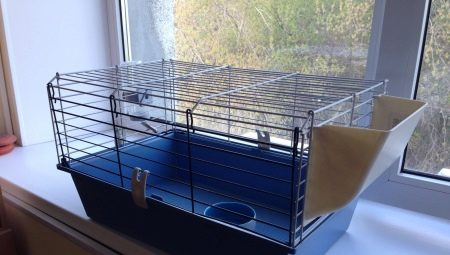 Guinea pig cages: selection and arrangement