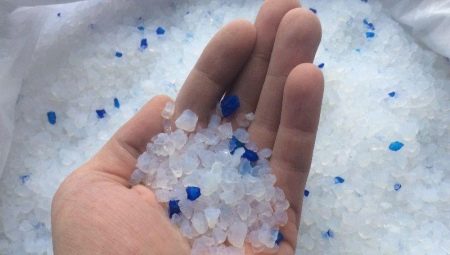 Silica gel cat litter: the pros, cons, and recommendations for choosing