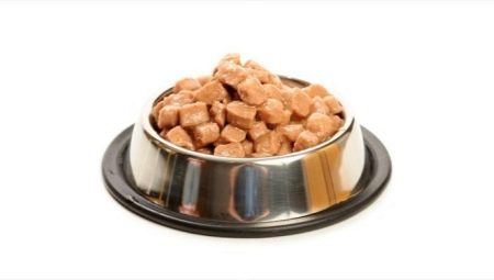 Wet cat food: components, brands, selection, feeding mode