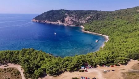 Everything you need to know about Sutomore