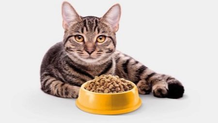 Grainless cat food