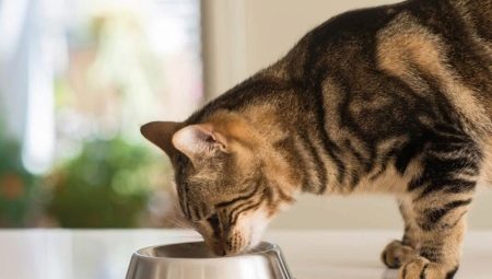 What is the food for sterilized cats different from the usual?
