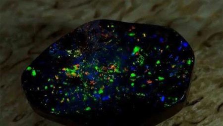 Black opal: looks, properties and scope