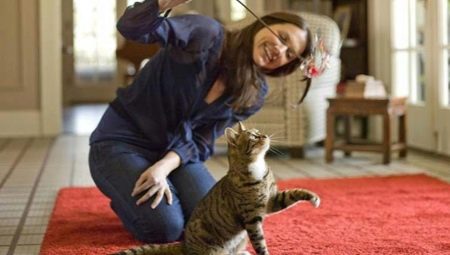 Toys for cats: types and subtleties of choice