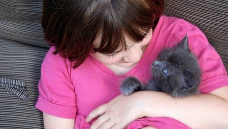 How to raise a kitten?