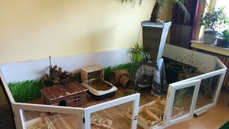 كيف تصنع رفاً لخنازير غينيا بيديك؟