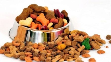 Super premium dog food: characteristics, review, selection, feeding rules