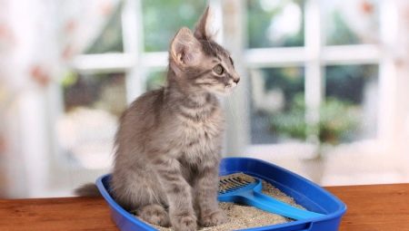 Corn filler for cat toilet