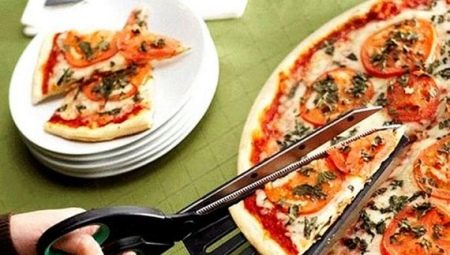 Pizza knives: design options and features of choice