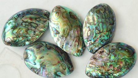 Description of heliotis, its properties and scope