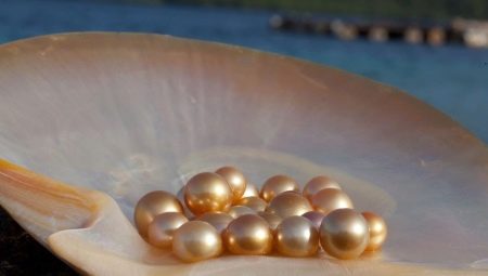River pearls: features, properties and differences from the sea