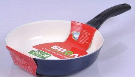 Frying Biol: pros, cons and best models