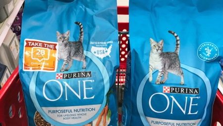 Tips on choosing a hypoallergenic dry cat food