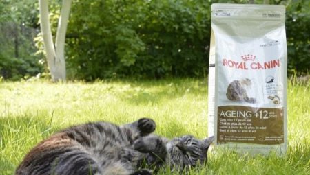 Choosing cat food over 12 years old