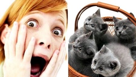 Aylurofobiya: what is it and how to get rid of it?