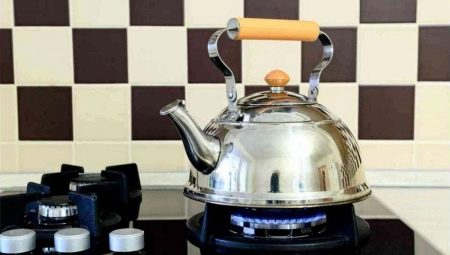 Teapots for the gas stove: types and subtleties of choice