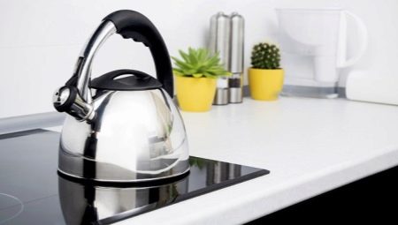 Kettles for induction cookers: the types and subtleties of choice