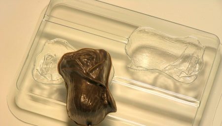 Forms for chocolate: what are and how to choose them?