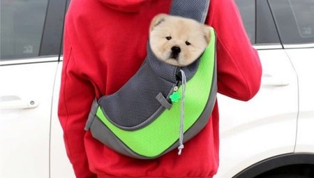 Carrying backpack for dogs: description, selection criteria and use