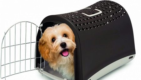 Carriers for dogs: appointment and types